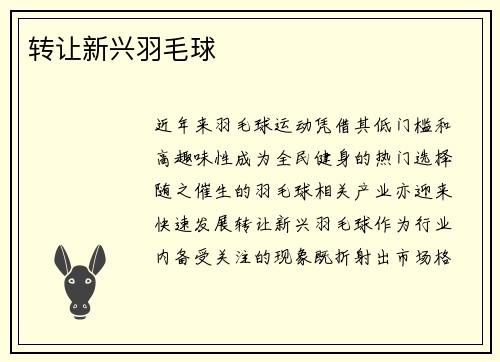 转让新兴羽毛球